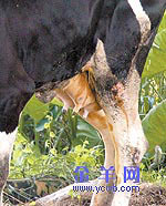 ���ݽ�˲�������Ļ400��ͷ��ţ���ռ�����//