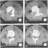 05.gif (10232 bytes)