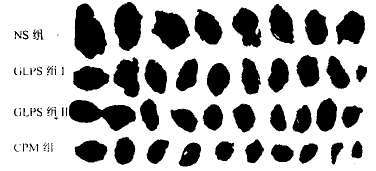 t5302.gif (4284 bytes)