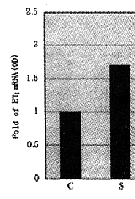 t26-2.gif (7046 bytes)