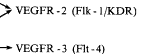 t856-4.gif (891 bytes)
