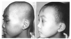 3002.gif (9609 �ֽ�)