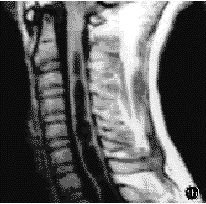 26702.gif (8807 �ֽ�)