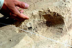 ˮ������ַ�����·���&nbsp;//