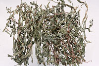 �q��ͼ��-ȫ����//