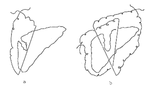 �����Ʒ������������������ظ�����24������