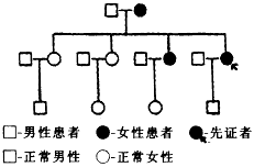 ����ά����һ��ϵ����