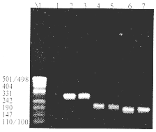 һ�����ͳ����Բ����Ը��׵��ٴ����в�ѧ������ѧ�ĳ����о�