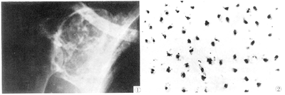 ���ι���������һ��