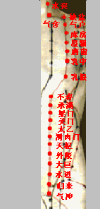 ������θ��Ѩ