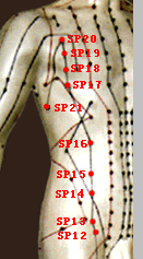 ��̫��Ƣ��Ѩ