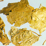 Mulberry Leaves