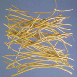 Cogongrass Root