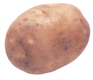 Potato, Irish