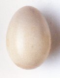 Egg, Duck (Salted)