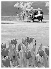 睡眠 养生第一大补