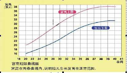 ׷�ٸ�Σ����ġ� �� ����