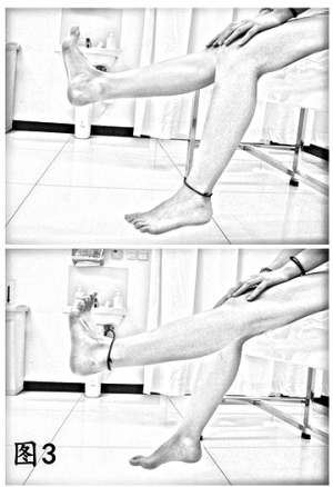 �������ȼ����ϥ�ؽڲ�