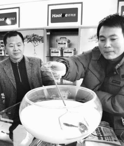 ������Ϳ�ϡ��ܶ��Ǻ���