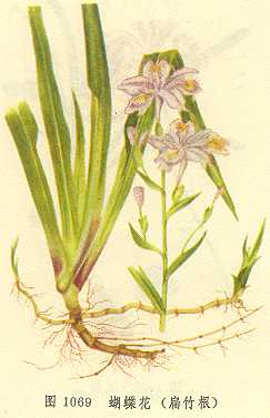 /�����������