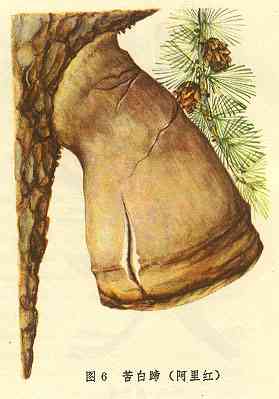 /����㰢���