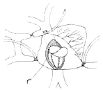 ��ȫ�Էξ�����λ����